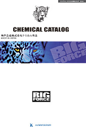 BIG FORCEJ^O(PDF)