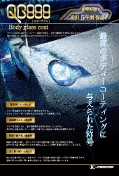 QG999tC[(PDF)