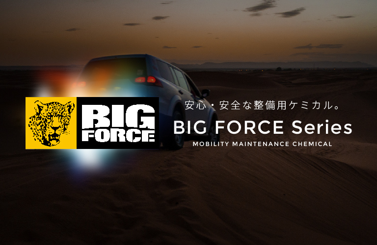 _ˍЁbBIG FORCEV[Y